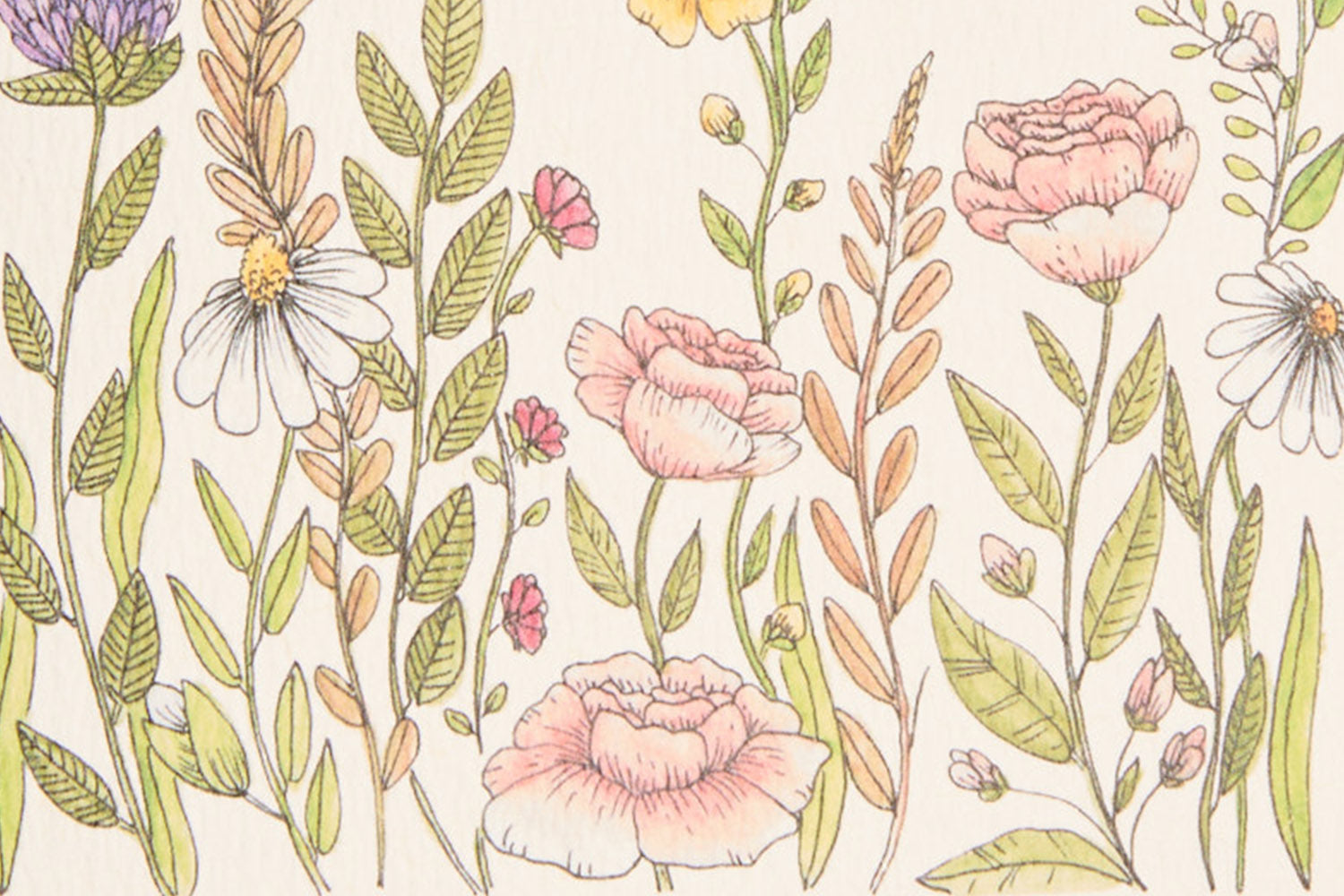 Greeting Cards