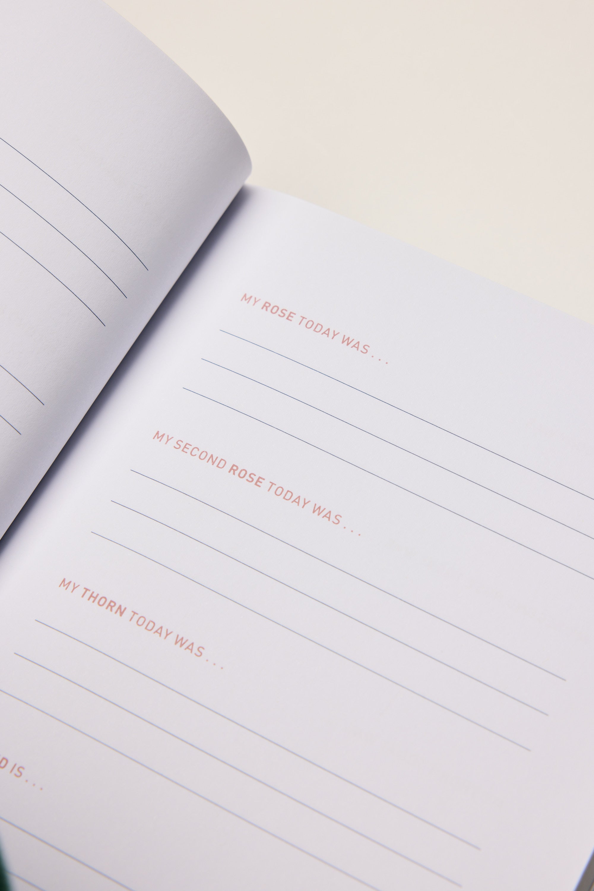 The Two Minute Evenings Book by Other features a calming journal page with pink prompts—MY ROSE TODAY WAS..., MY SECOND ROSE TODAY WAS..., and MY THORN TODAY WAS...—plus blank lines, perfect for stress relief.