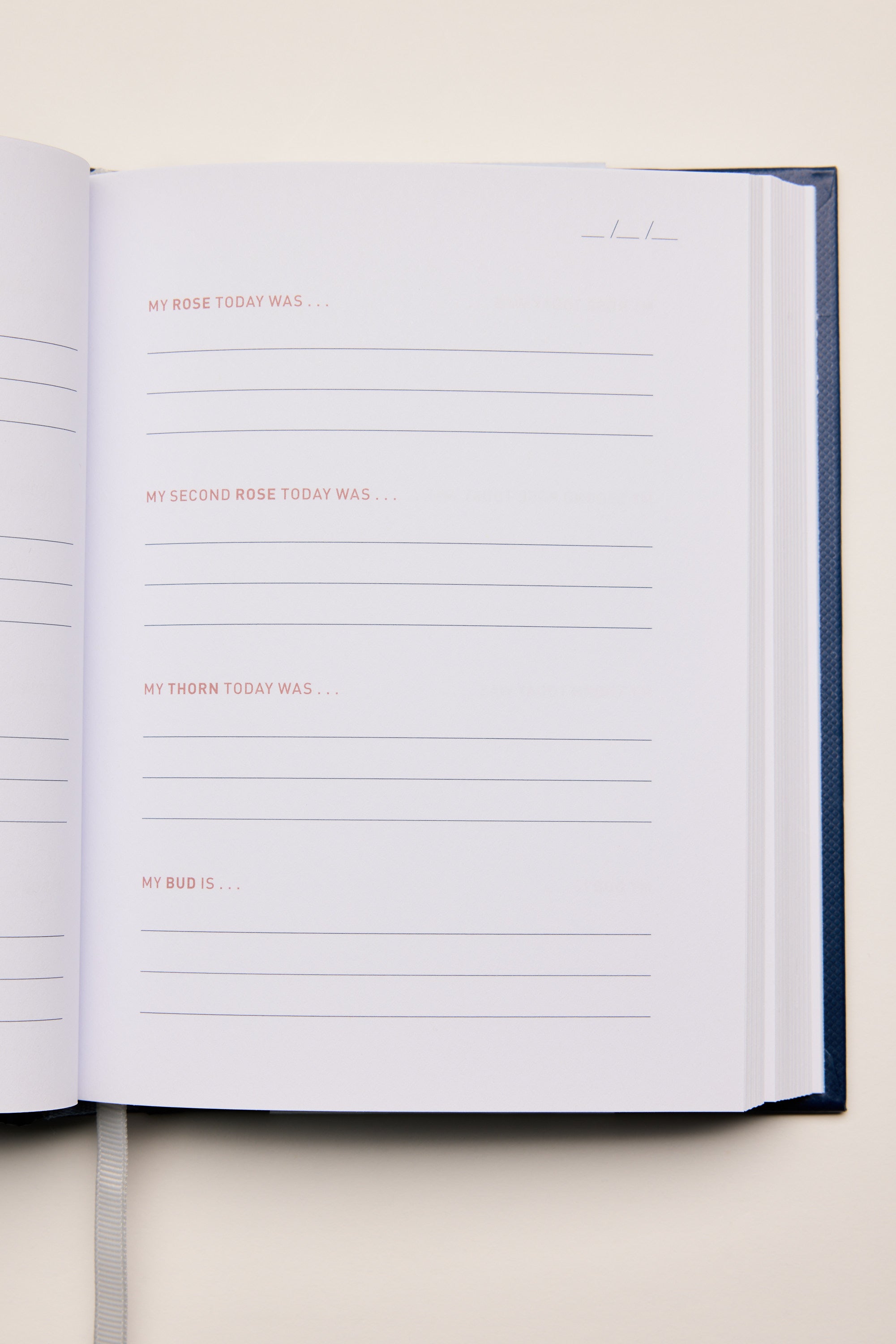 The Two Minute Evenings Book by Other features calming prompts—My rose today was..., My second rose today was..., My thorn today was..., and My bud is...—each with space to write, encouraging daily reflection and stress relief.