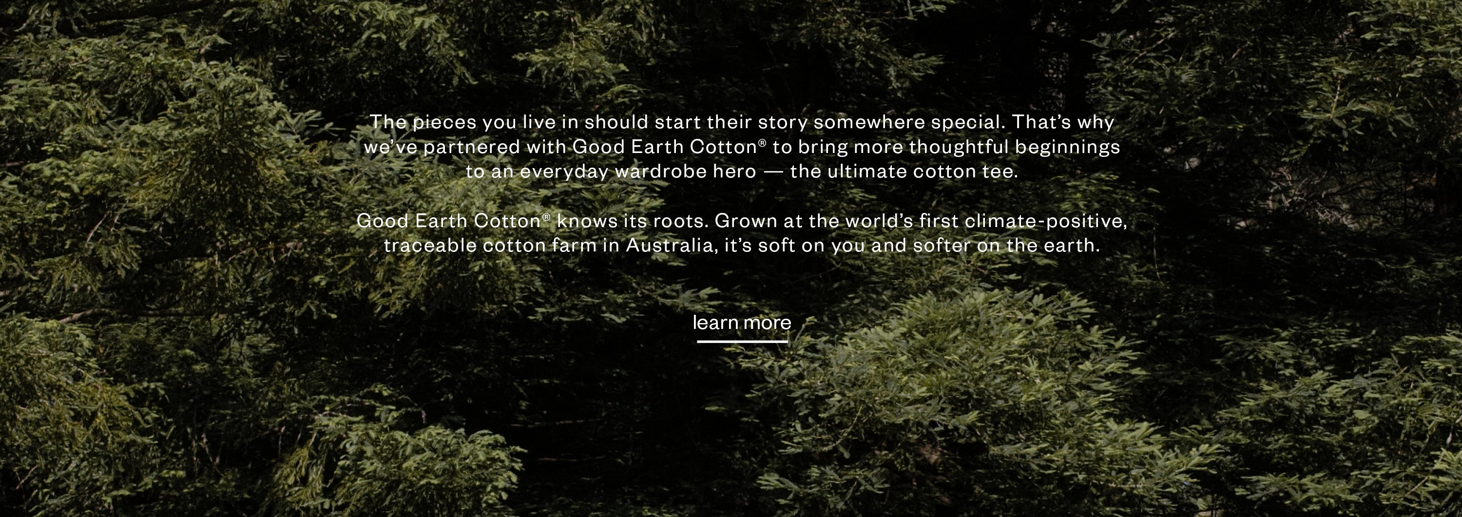 Max_Website_Homepage_Refresh_GEC_Desktop_2