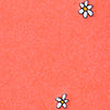 Coral background with two small white daisies in the upper right corner, inspired by NZ flora.