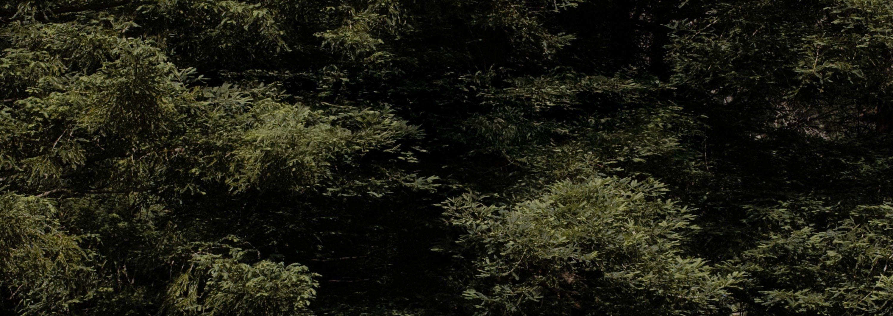 Max_Website_Homepage_Refresh_GEC_Desktop_2_copy