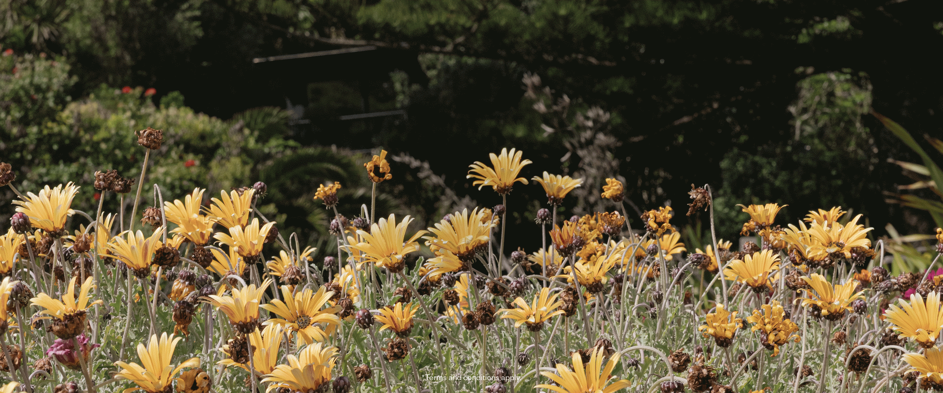 Max_Website_Summer-Sale_TAF20_Assets_3000-x-1250_5-v2_1