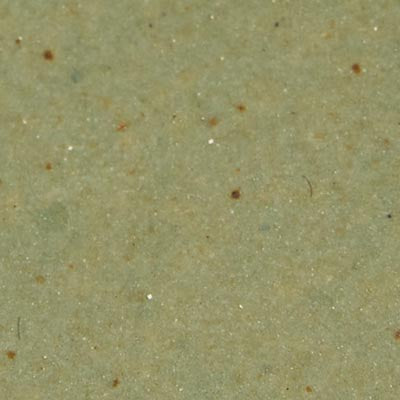 Close-up of a textured, light brown NZ surface with small dark specks and subtle variations.