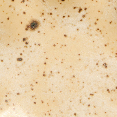 Close-up of a creamy beige NZ surface with small scattered brown specks and spots.