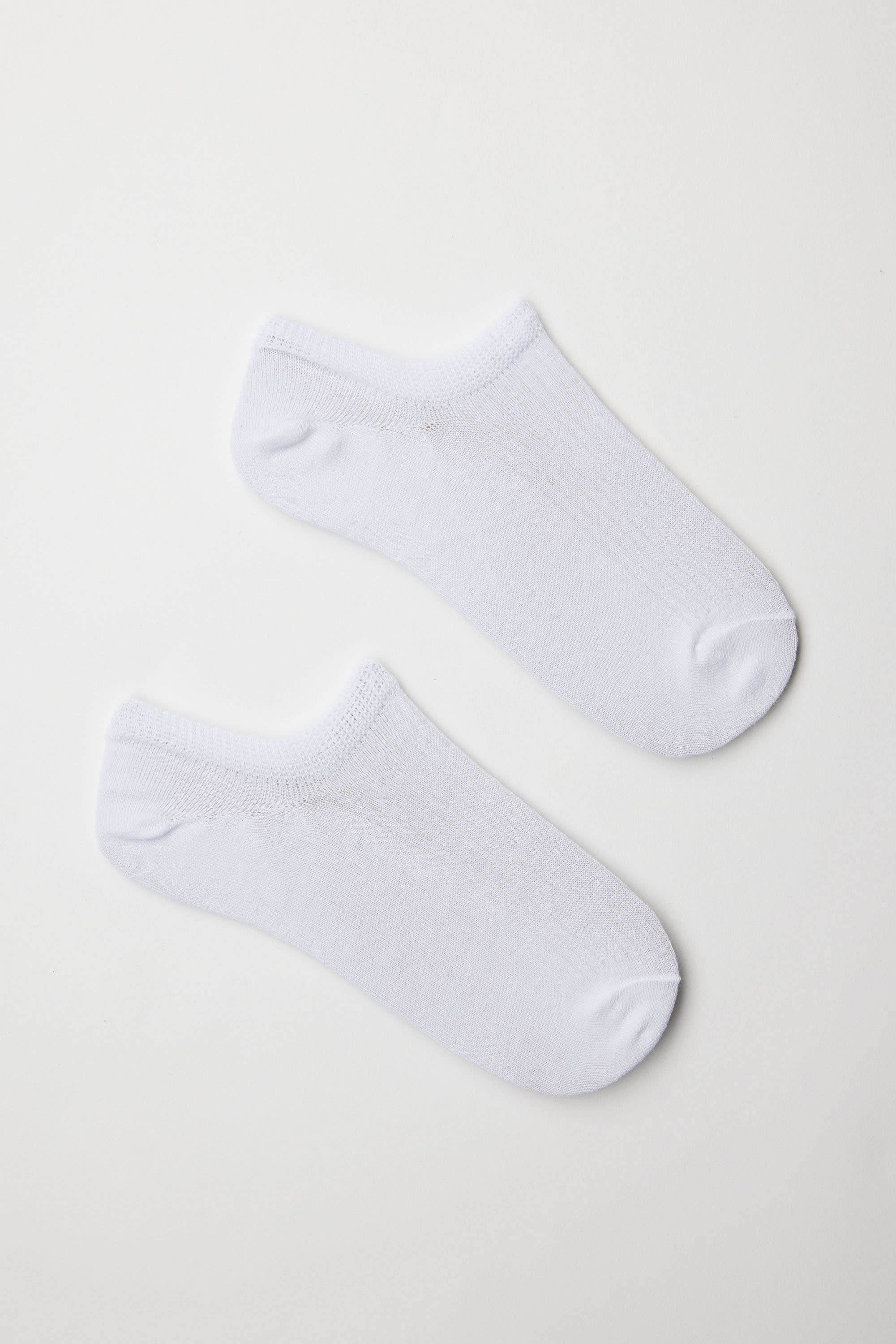 Shop Rib Low Profile Socks in White | Max Women's Fashion NZ