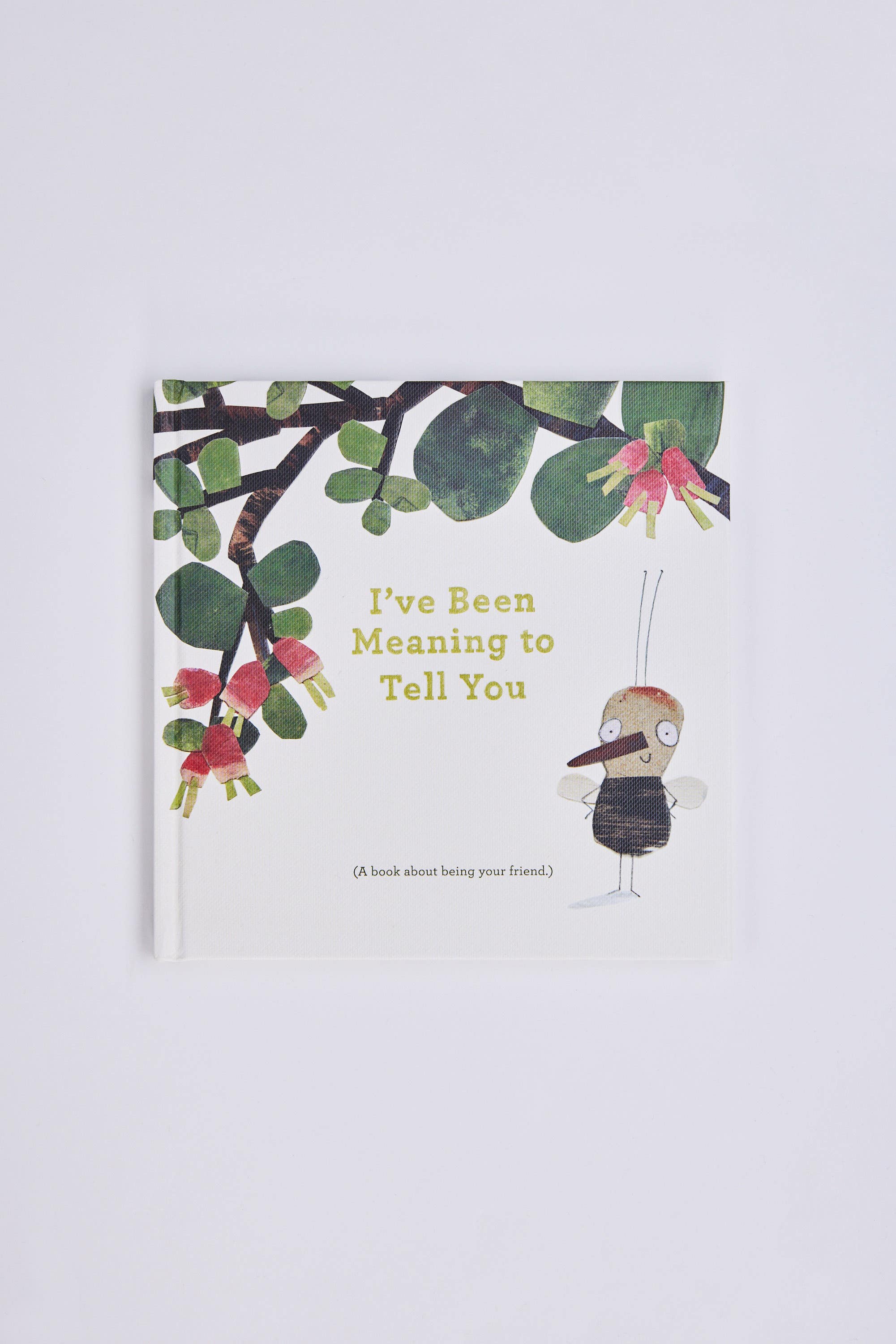 product photo