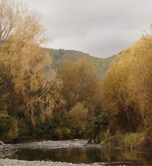 Escape the city: The road to Waikanae