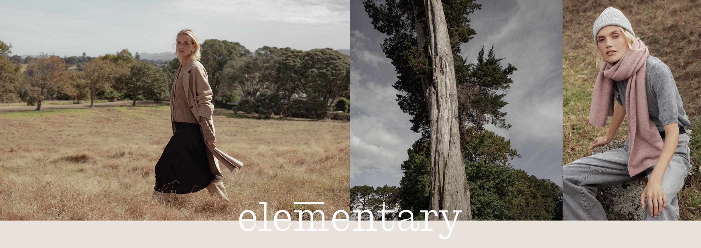 Introducing Elementary by Max. 