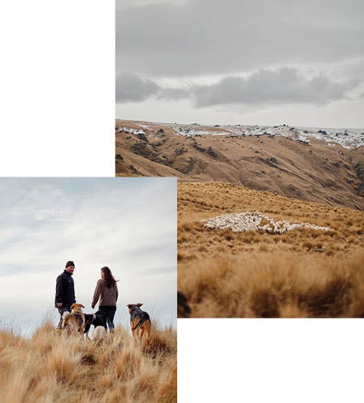 Max Journal 2022 - Jenna and the merino sheep farm land