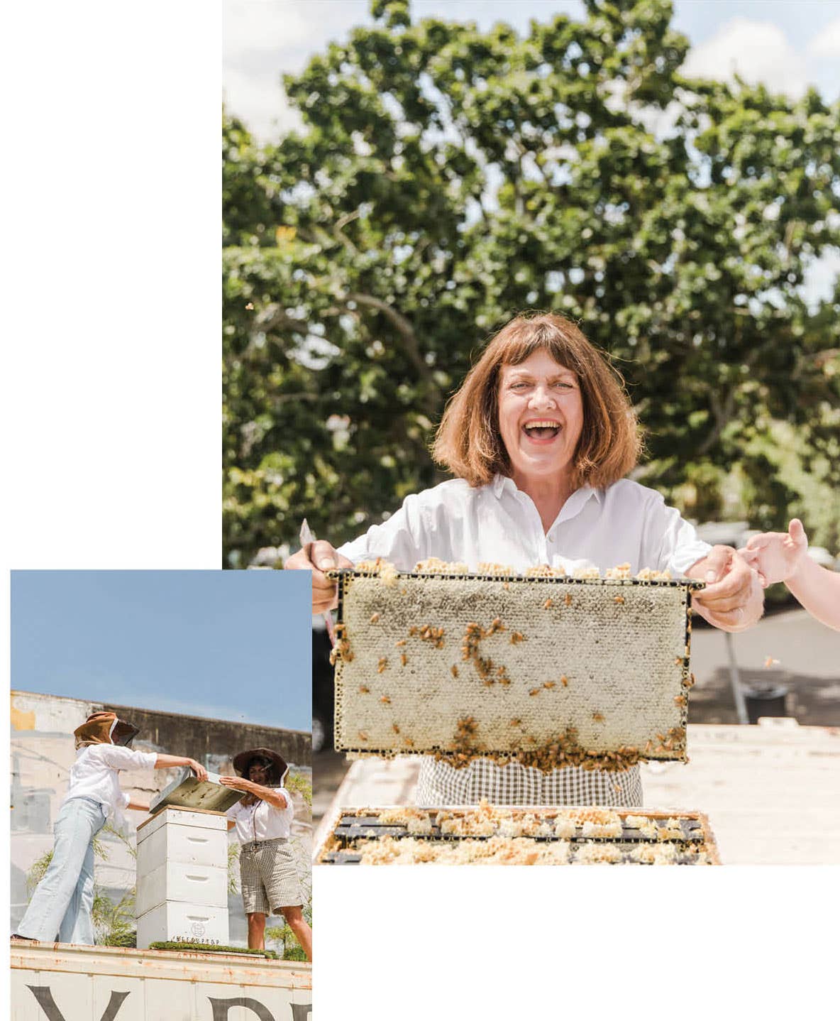 Max Journal 2022 - Bees up top, bee hives and mum